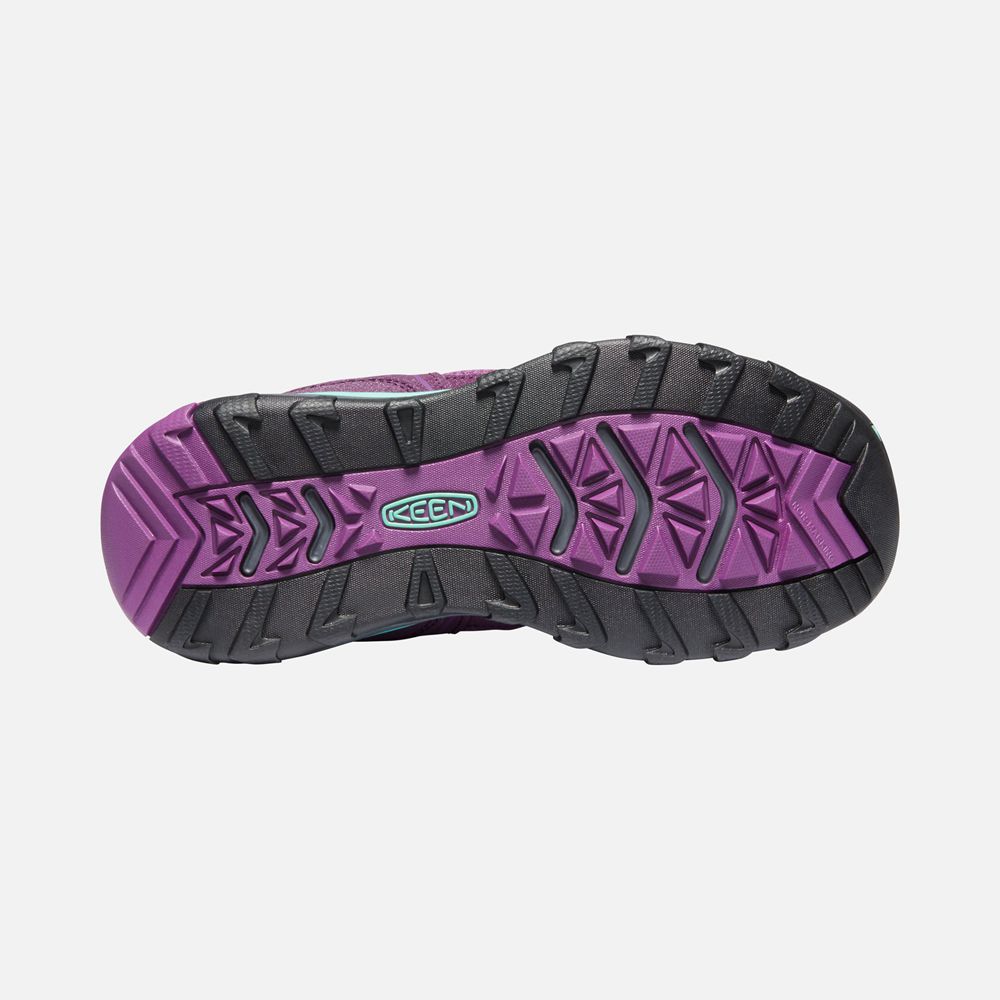 Baskets Keen Enfant Violette | Terradora Ii Sport Shoes | IGJWR-4758